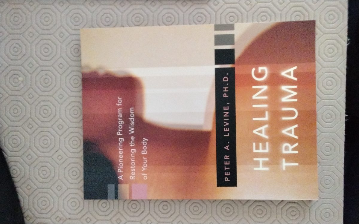 Healing Trauma: A Pioneering Program for Restoring the Wisdom of Your Body cover