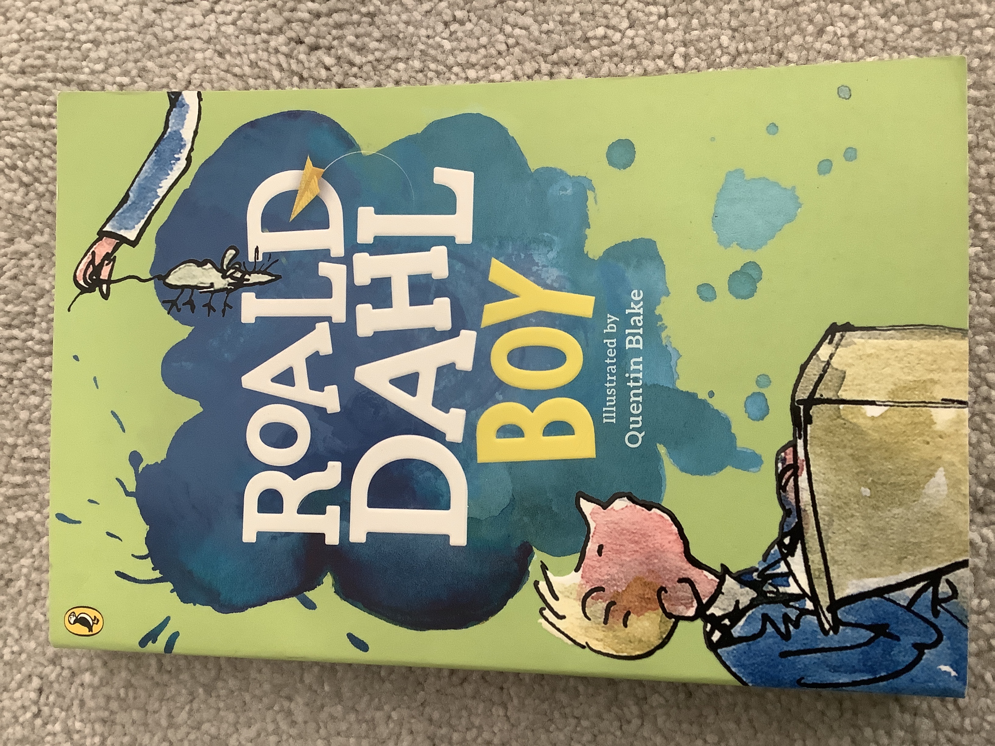 Boy cover