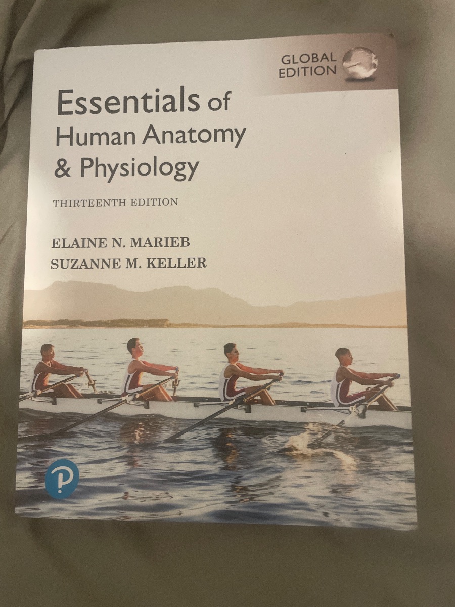 Essentials of Human Anatomy and Physiology cover