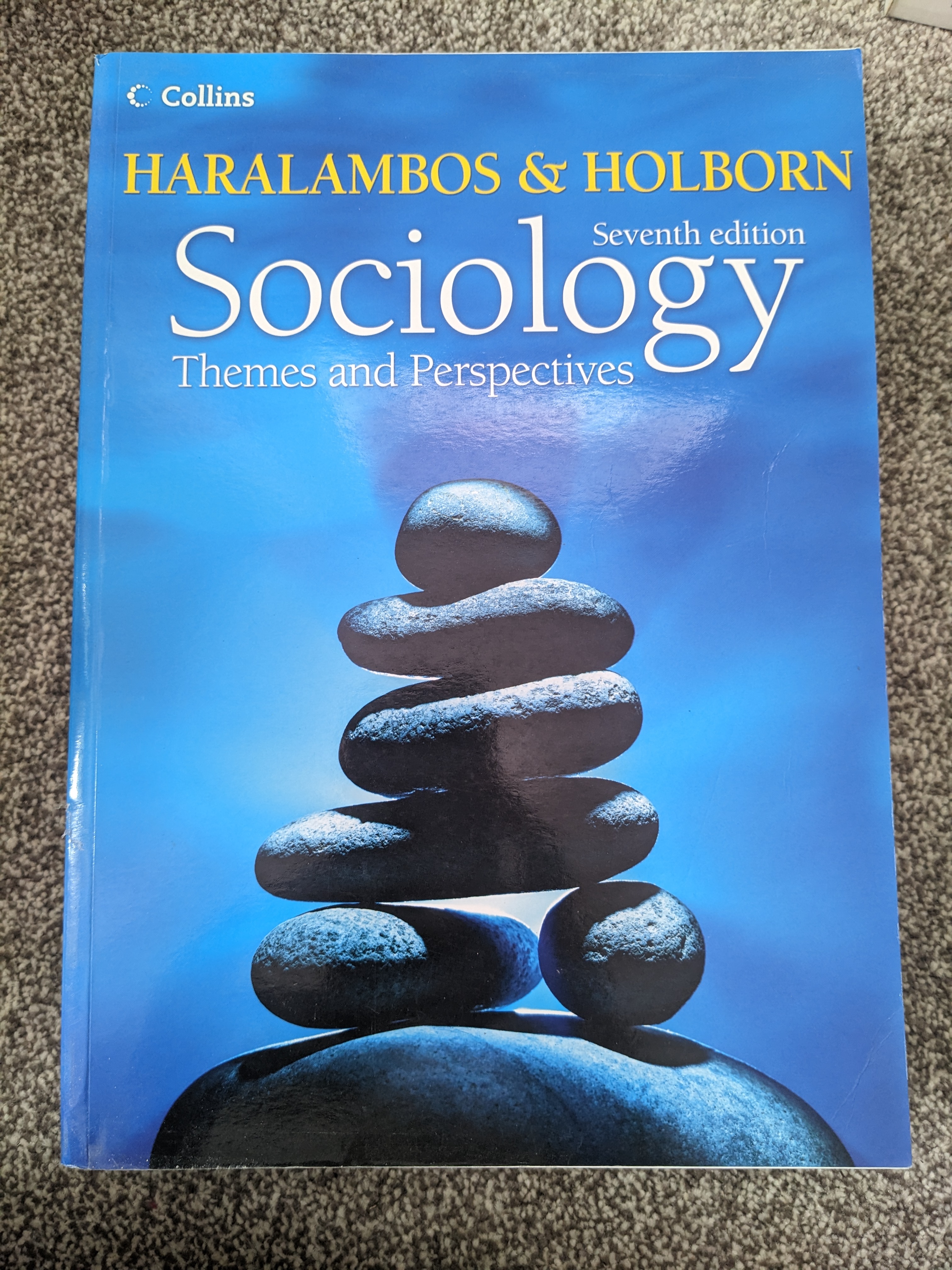 Sociology Themes and Perspectives cover