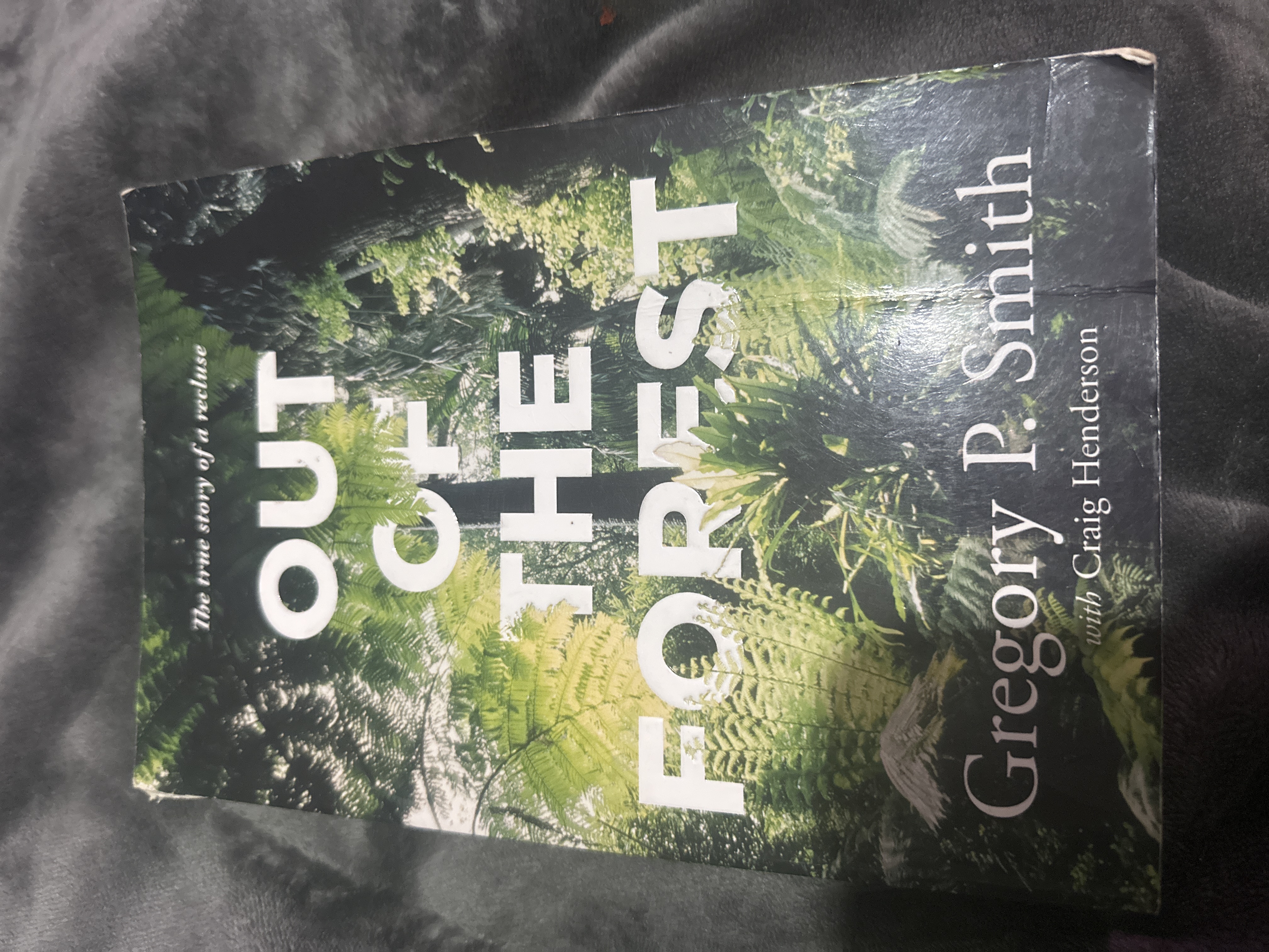 Out of the Forest cover