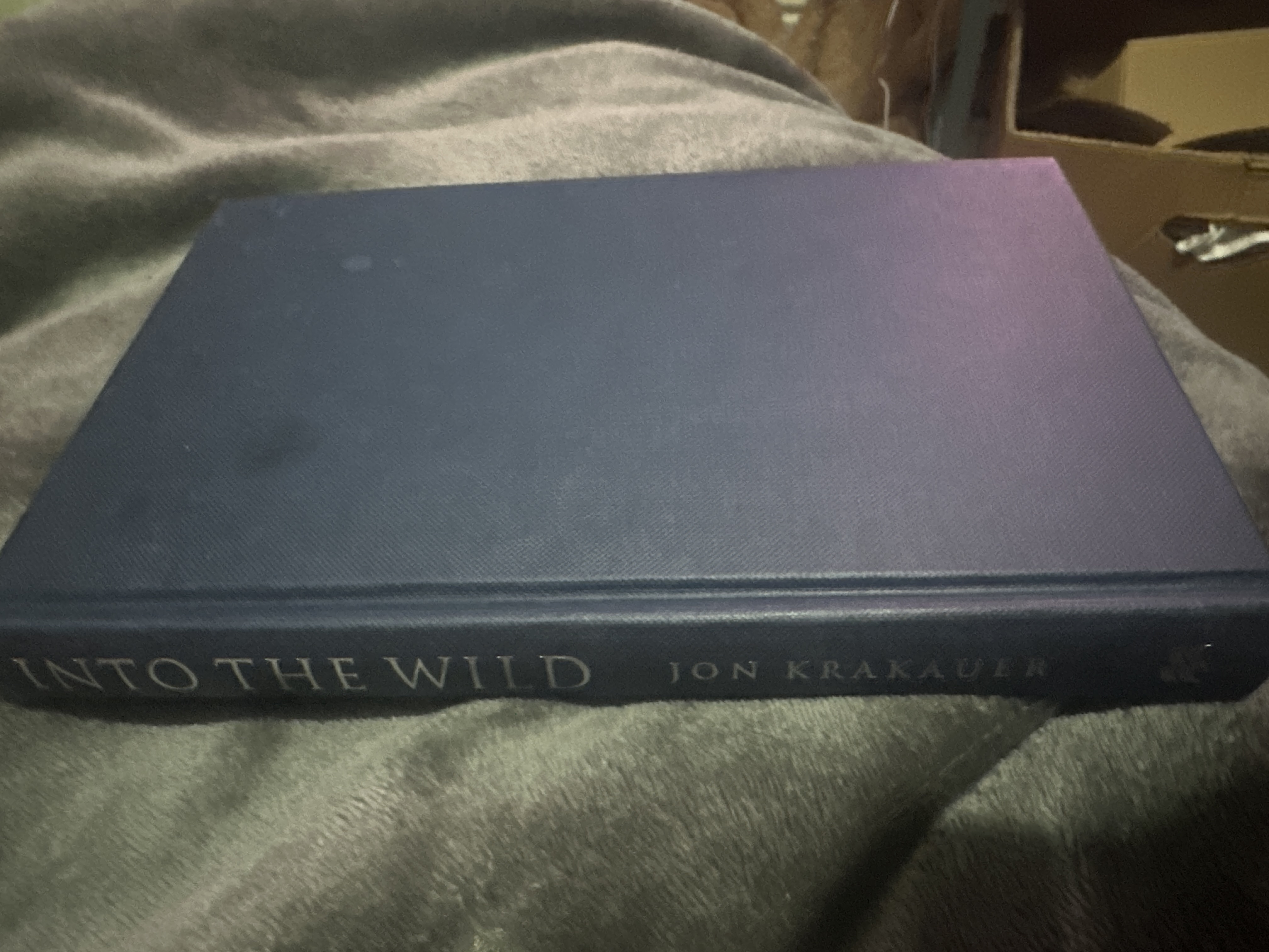 Into the Wild cover