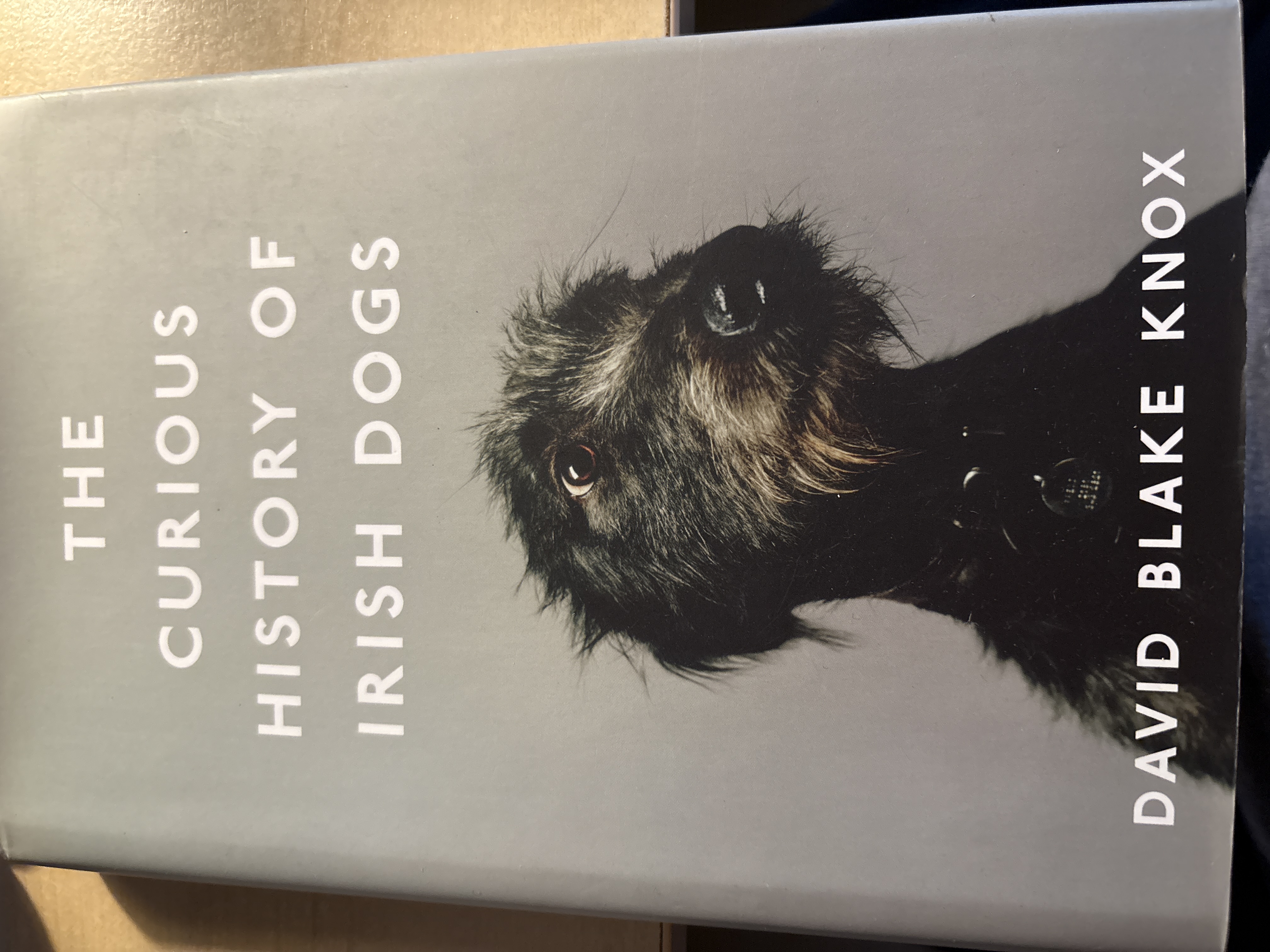 The Curious History of Irish Dogs cover