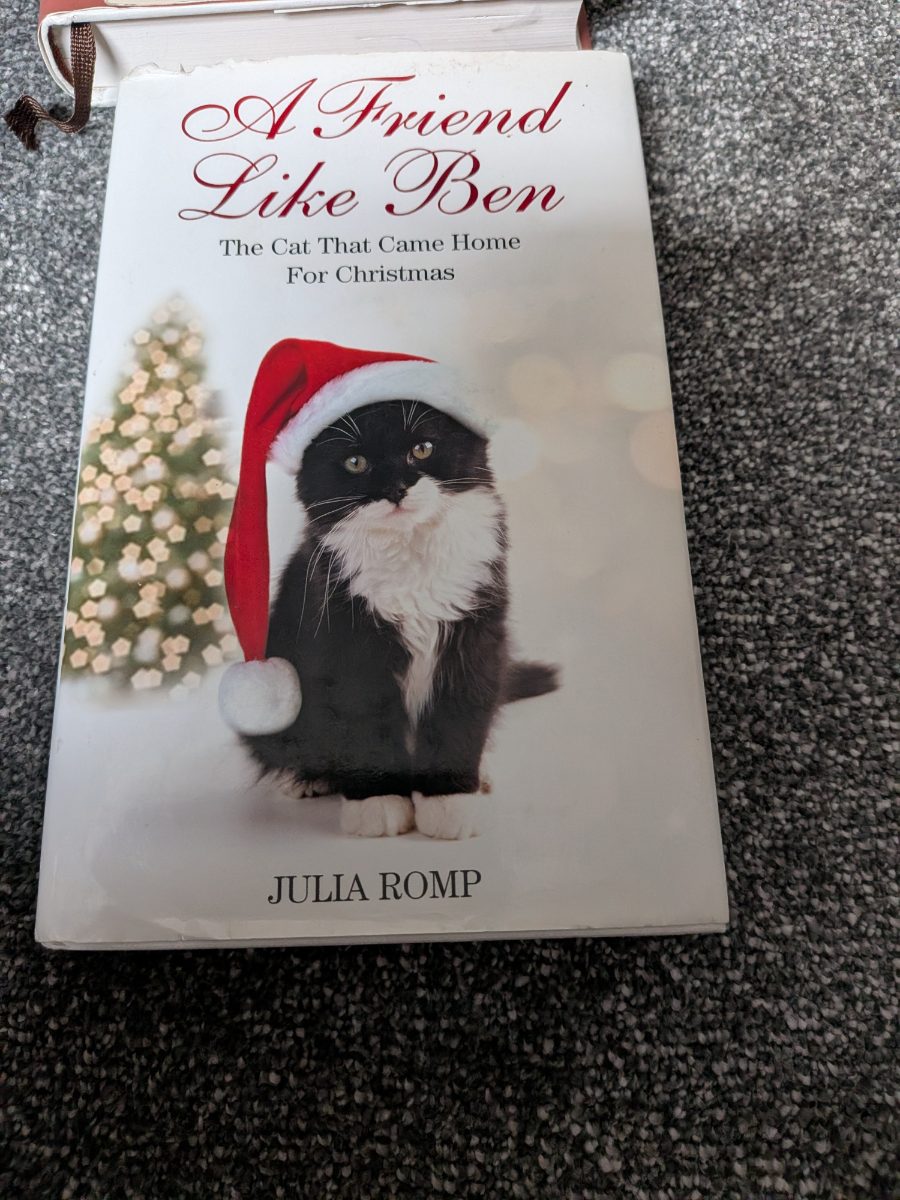 A Friend Like Ben The Cat That Came Home For Christmas cover